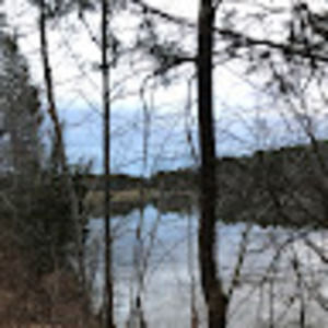 Meet your Posher, Lily